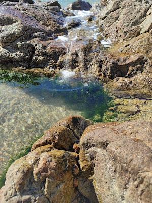 Sandee - Praia De Leca Da Palmeira