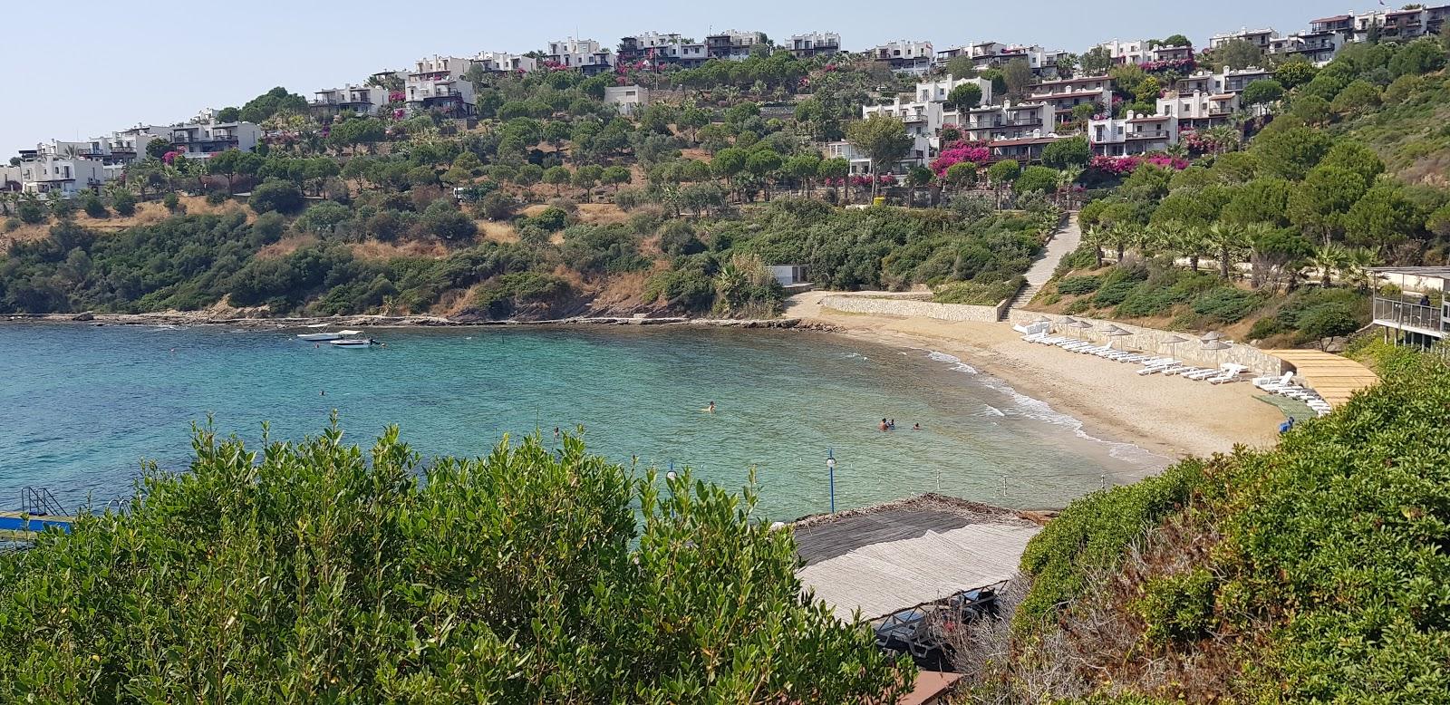 Sandee Feza Mavi Sahil Cafe Beach