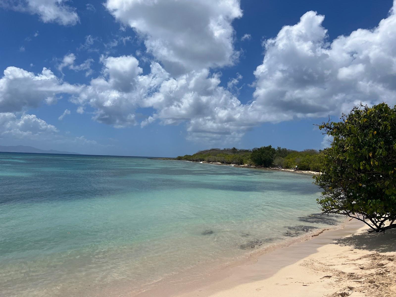 Sandee Plage D'Antigues Photo