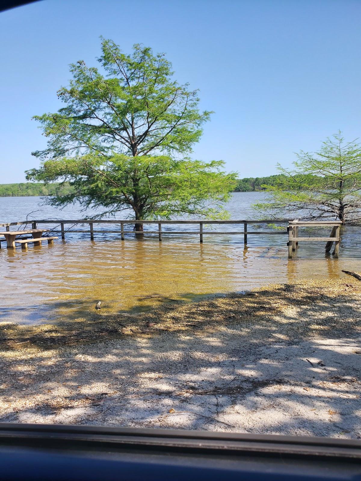 Sandee Nemo Public Use Area