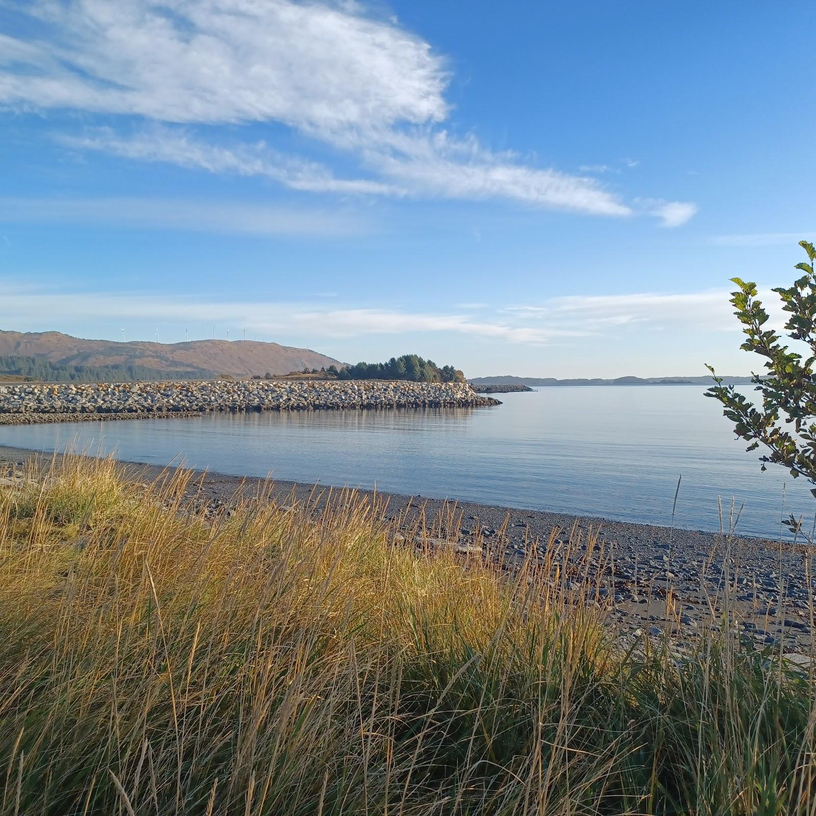 Sandee Finny Beach