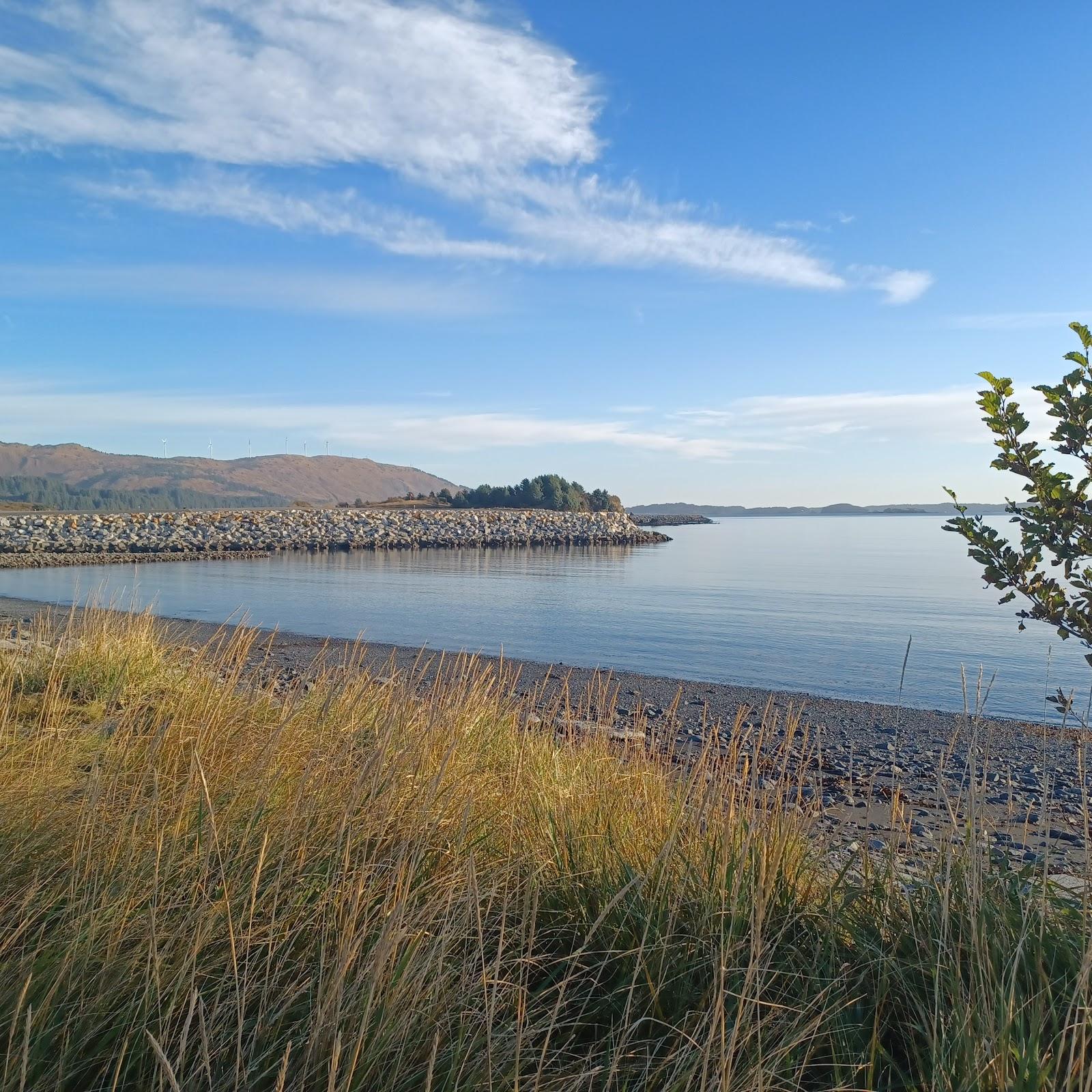 Sandee Finny Beach Photo