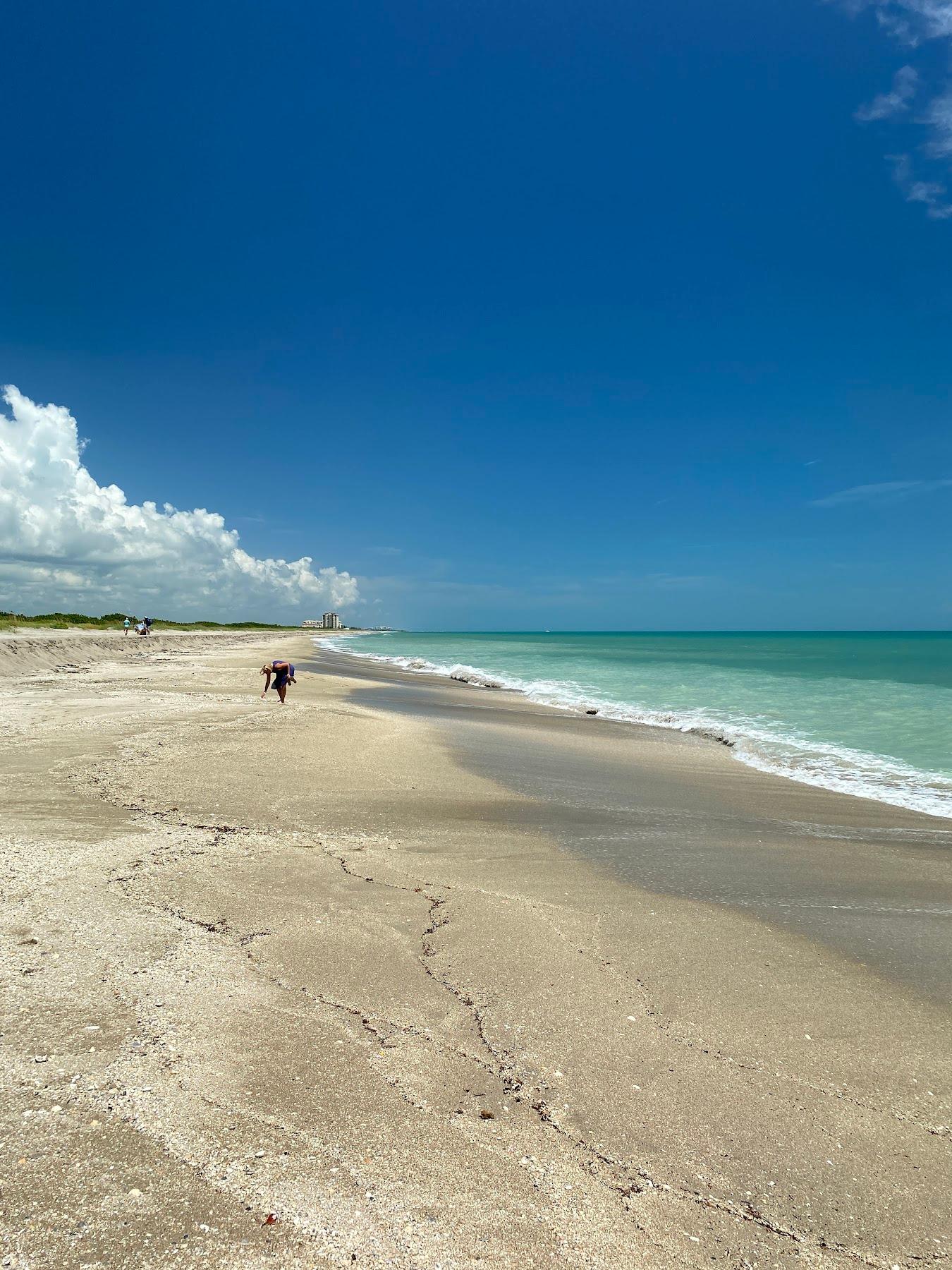 Sandee John Brooks Beach
