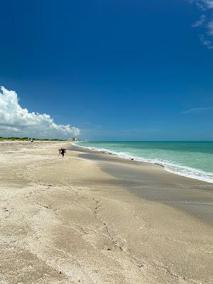 Sandee - John Brooks Beach