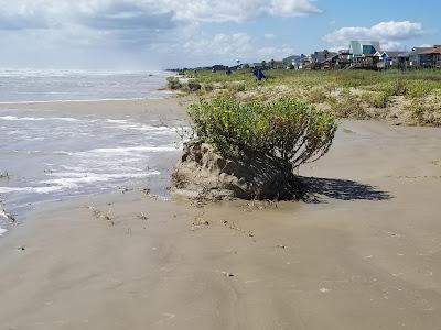 Sandee - Brazoria County Beach Free Camping