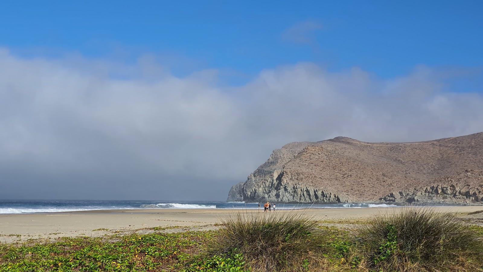 Sandee Playa Las Palmas, Todos Santos Photo