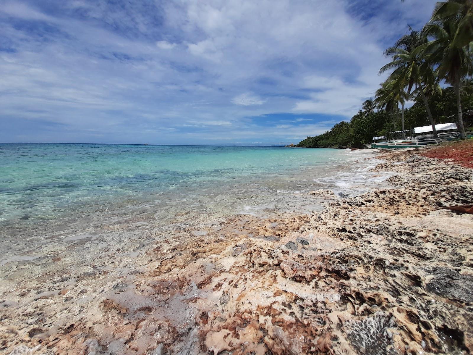 Sandee Palanas Beach Photo