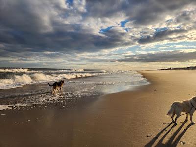 Sandee - 68th St Beach