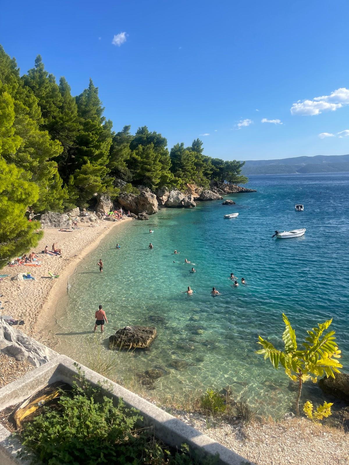 Sandee Beach Mala Luka