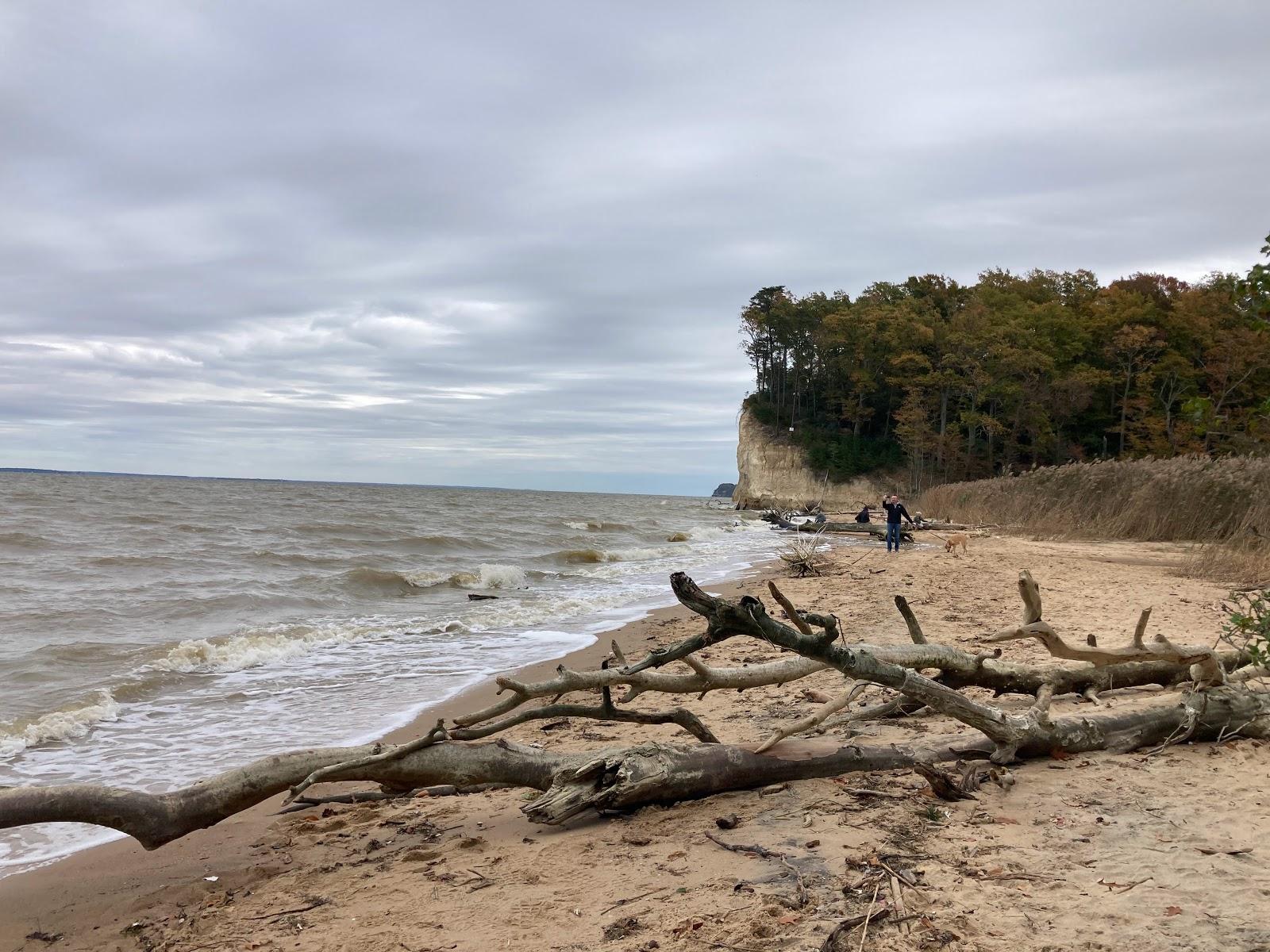 Sandee Fossil Beach Photo