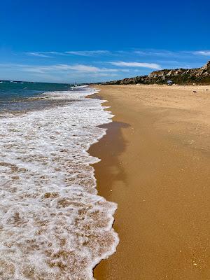 Sandee - Playa Del Parador