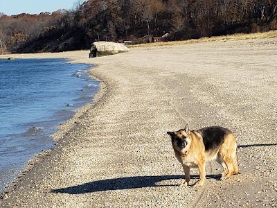 Sandee - Small Beach