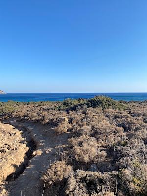 Sandee - Kedrodasos Beach