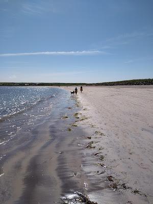 Sandee - Fionn Tra Bay Beach