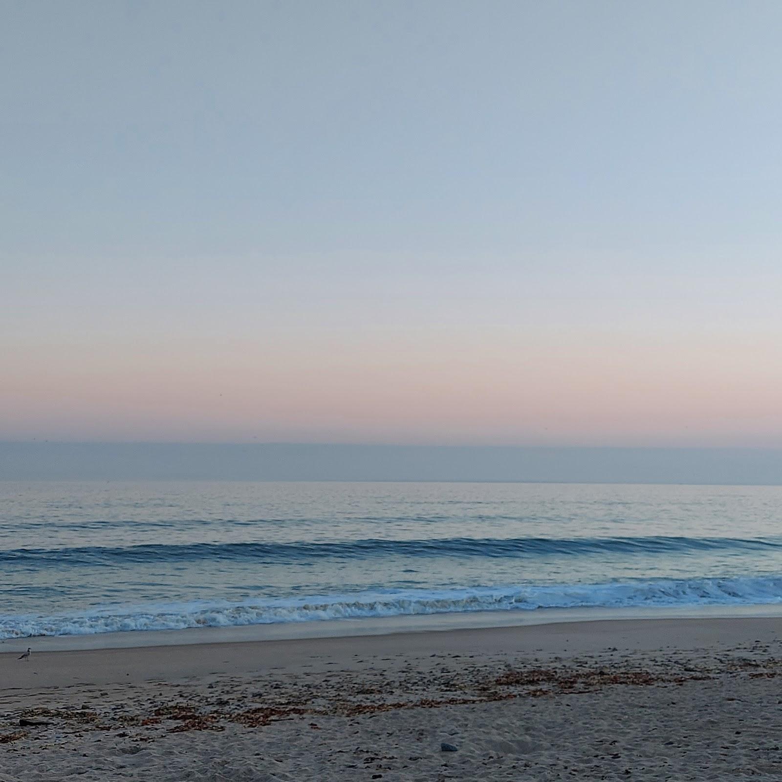 Sandee - Roy Carpenter's Beach