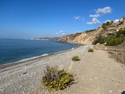 Sandee - Playa De Las Alberquillas