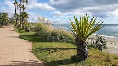 Sandee - Playa Del Arroyo De Las Canas