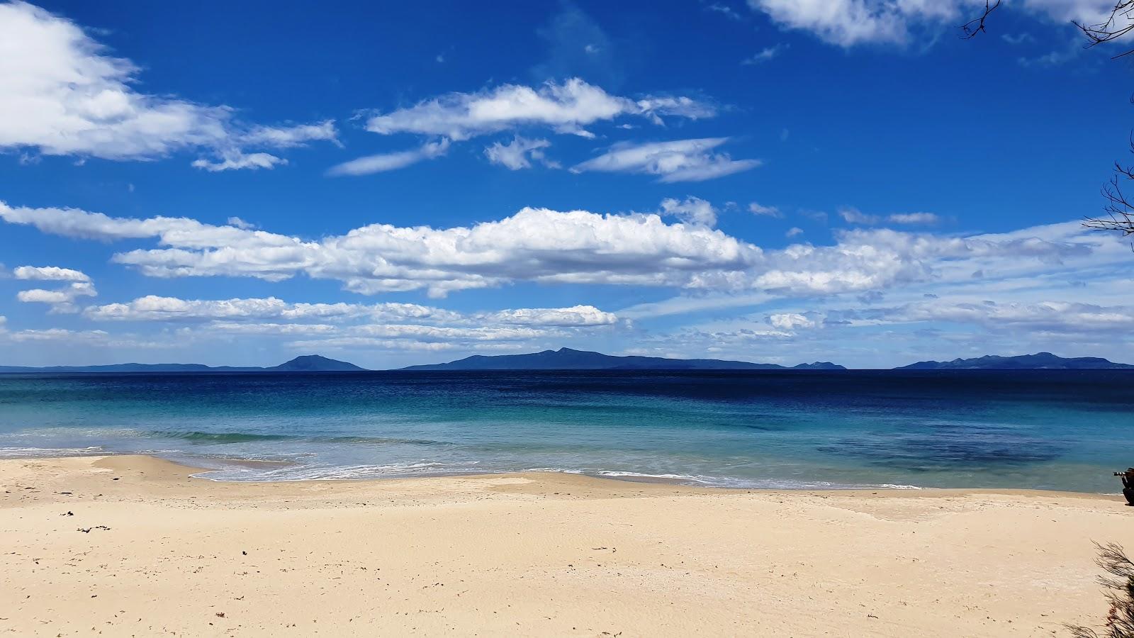 Sandee Mayfield Beach