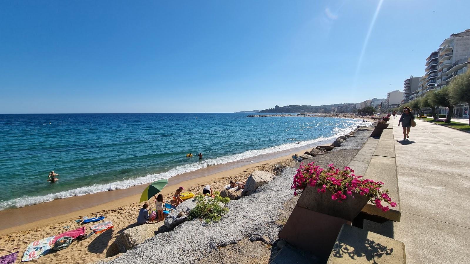 Sandee - HomePage / Calonge I Sant Antoni