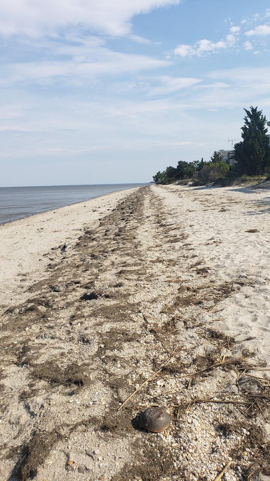 Sandee - Pickering Beach