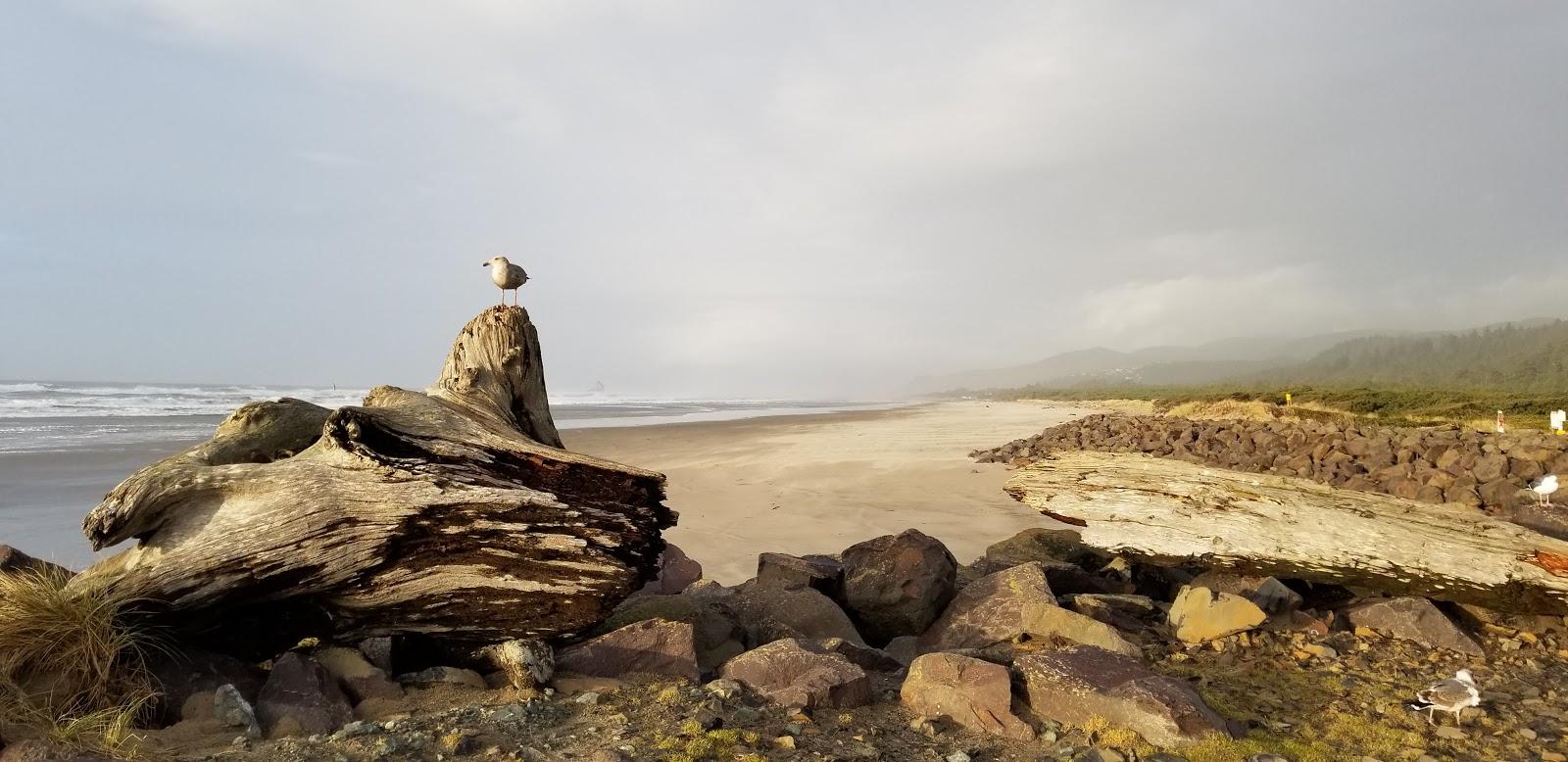 Sandee - Barview County Park Beach