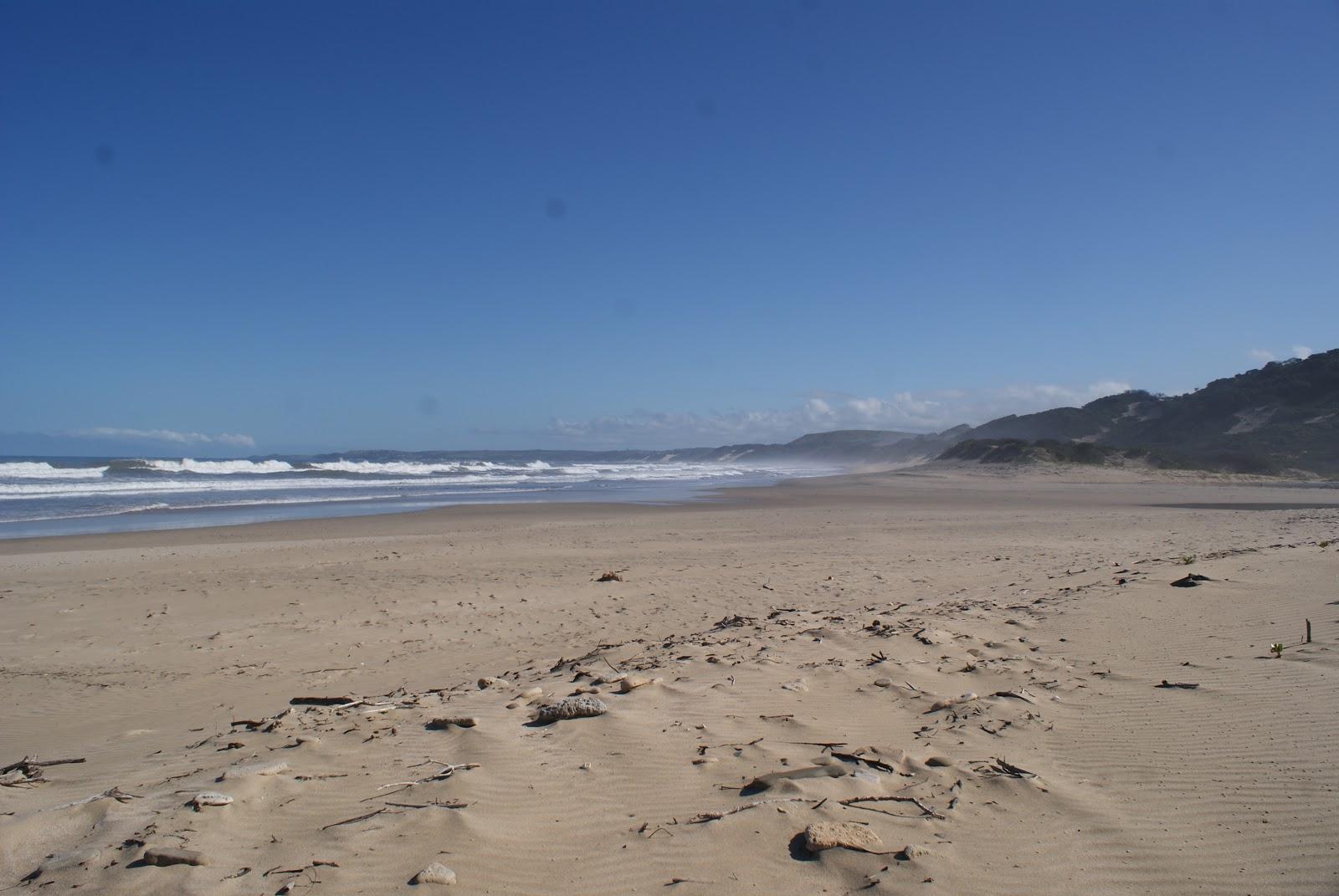 Sandee Bosbokstrand