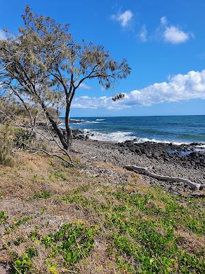 Sandee - Kath Nielson Park