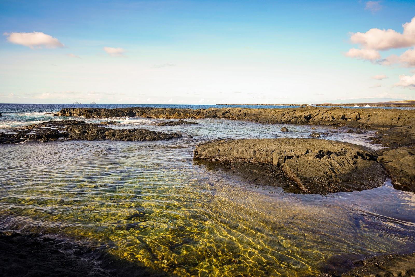 Sandee Keahole Point Photo