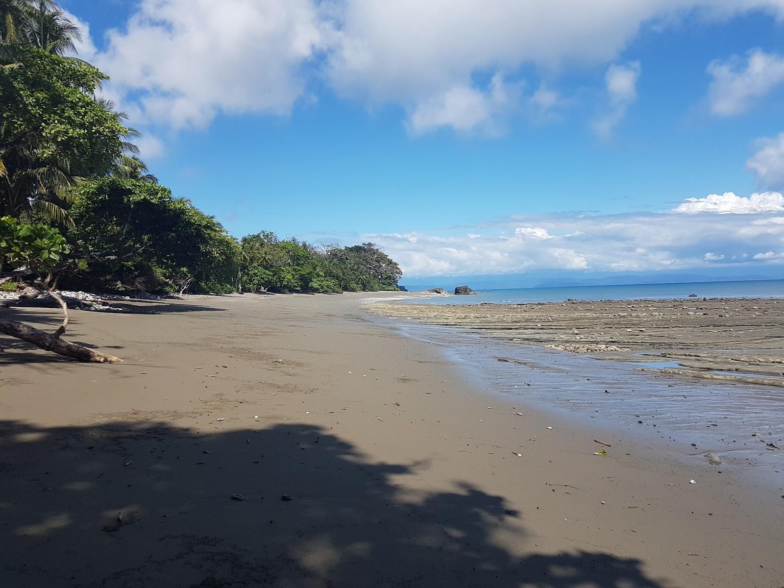 Sandee Pan Dulce Beach