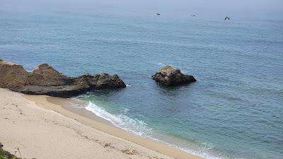 Sandee - Cowell Ranch Beach