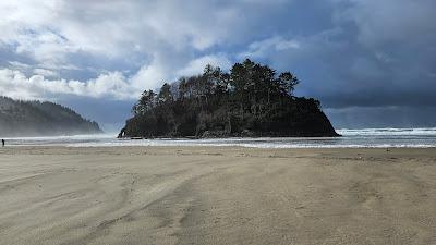 Sandee - Neskowin Ghost Forest