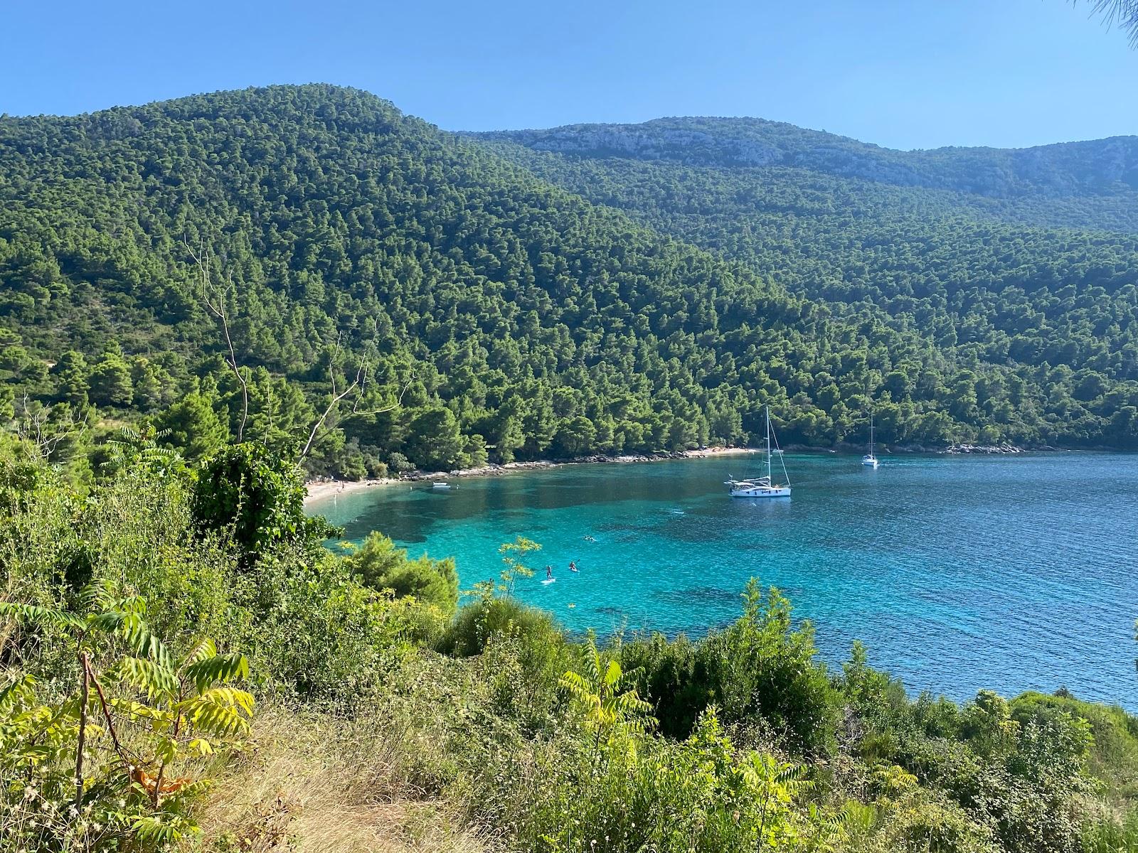 Sandee Vucine Beach