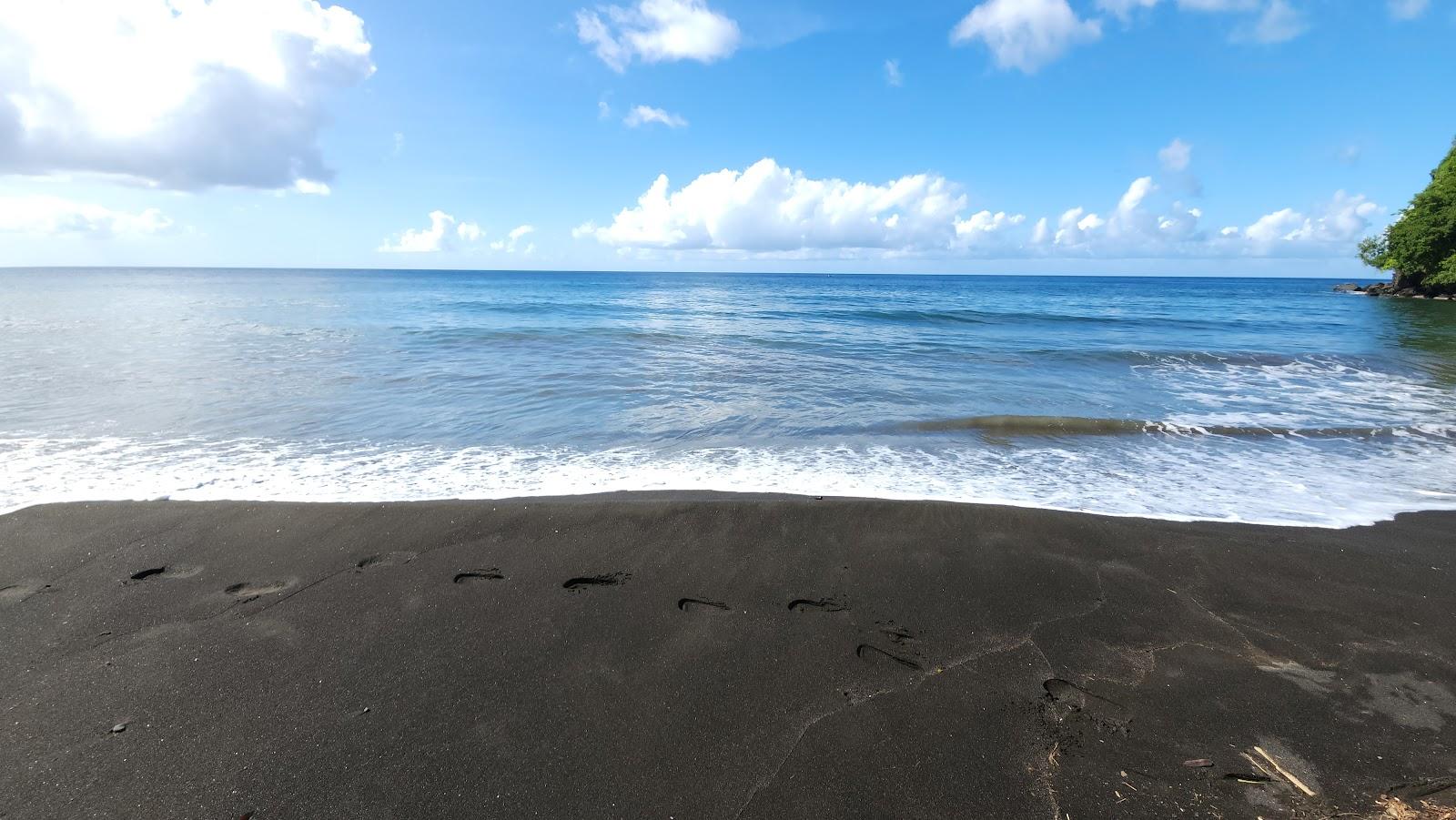 Sandee - Black Bay Beach