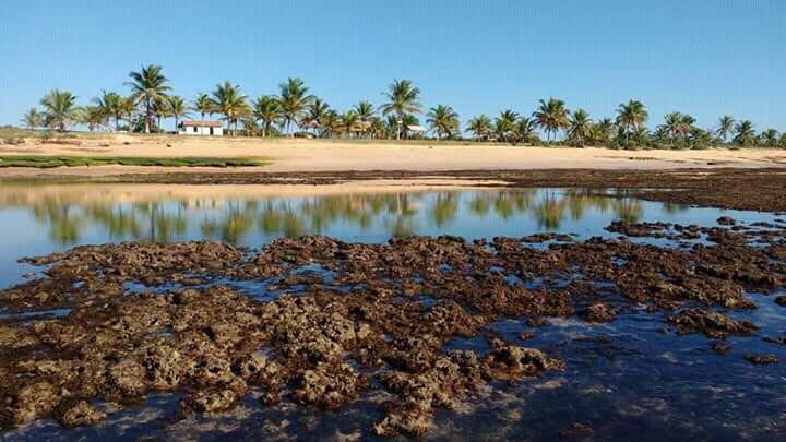 Sandee Praia Da Murian