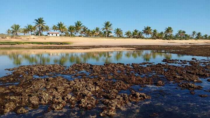 Sandee Praia Da Murian Photo