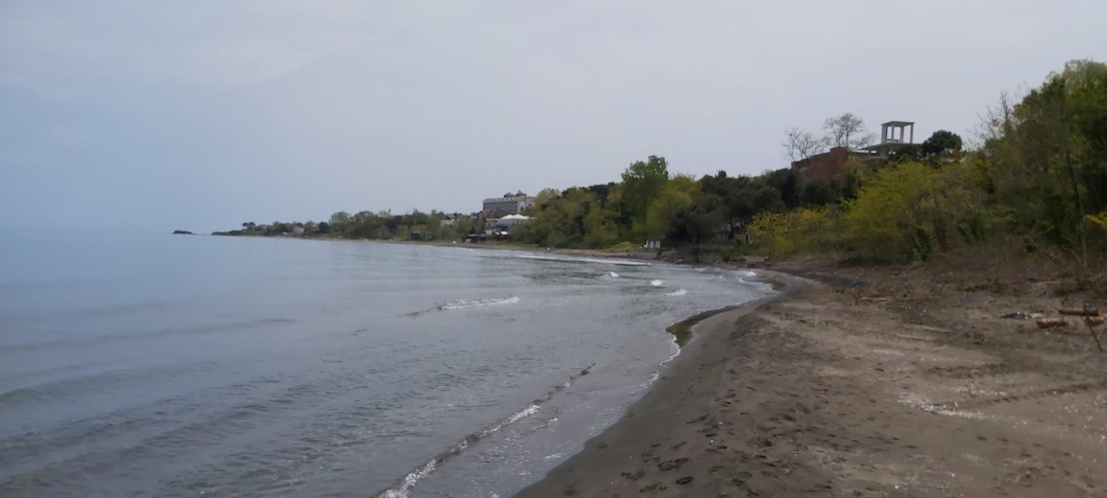 Sandee Barbuda Beach Ünye