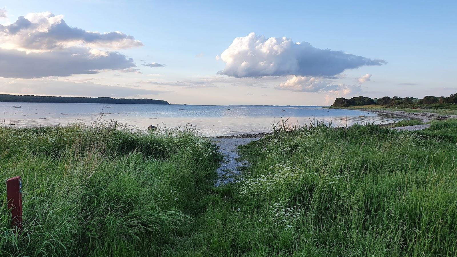 Sandee - Kisserup Strand