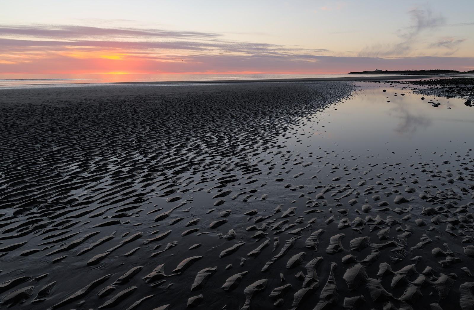 Sandee Bartlett's Beach