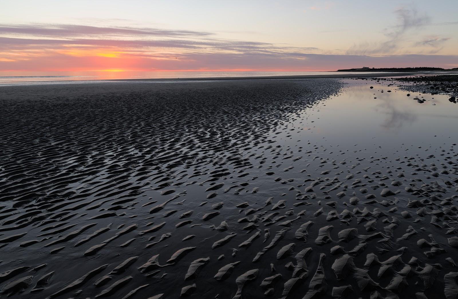 Sandee Bartlett's Beach Photo