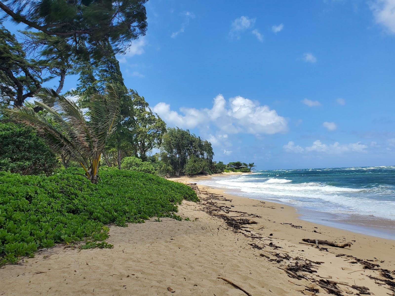 Sandee - Laie Beach Park