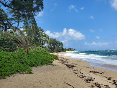 Sandee - Laie Beach Park