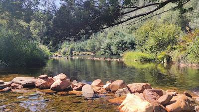 Sandee - Fluvial Do Alfusqueiro Beach