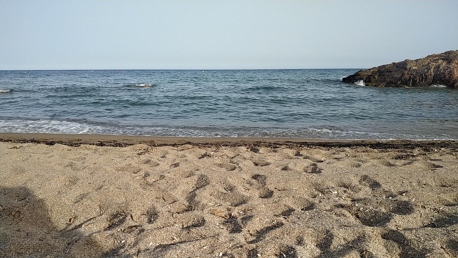 Sandee Playa Canina