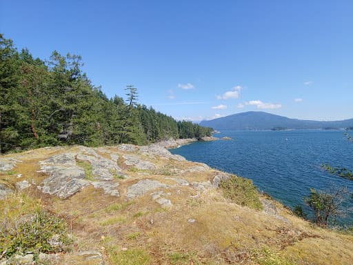 Sandee Salmon Rock Beach Photo