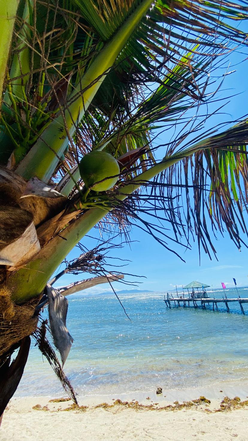 Sandee Ronco Beach Resort