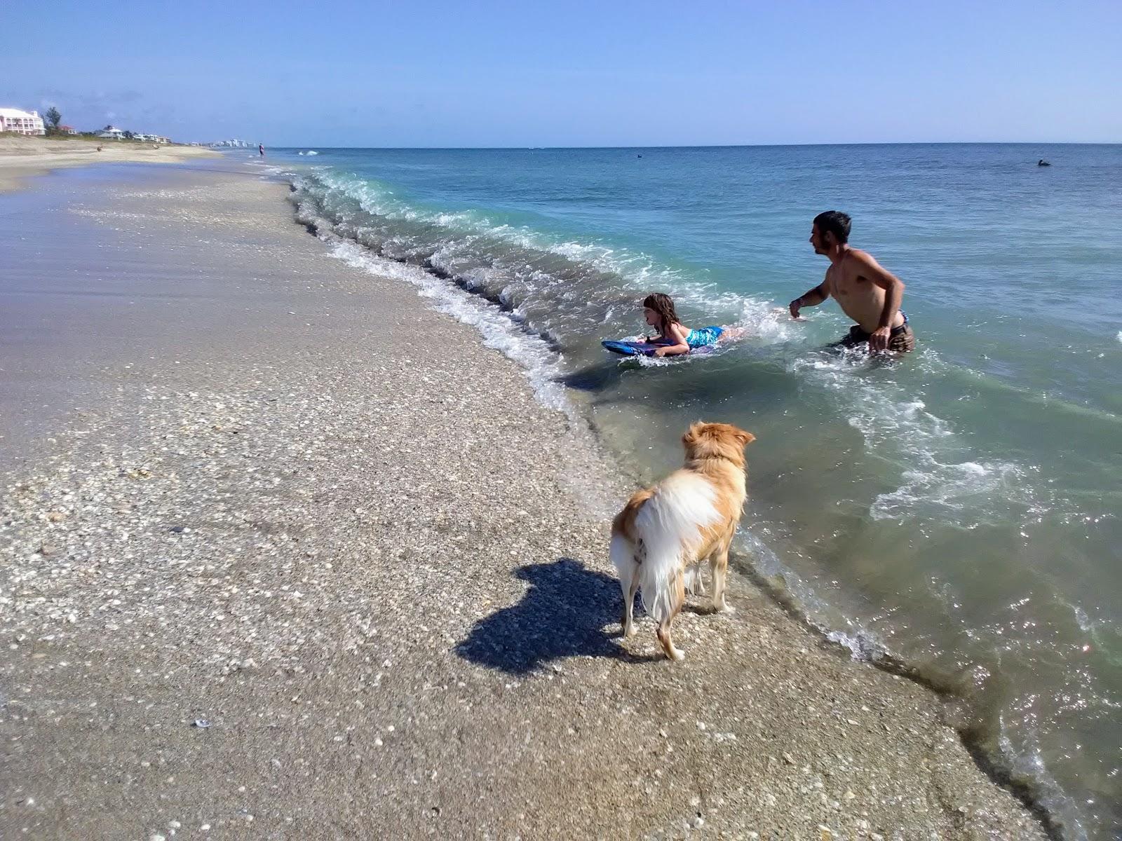 Sandee - Tiger Shores Beach