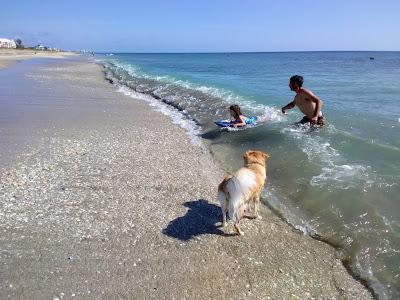 Sandee - Tiger Shores Beach