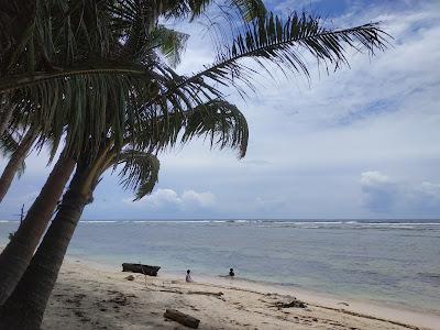 Sandee - Cape Setia Beach