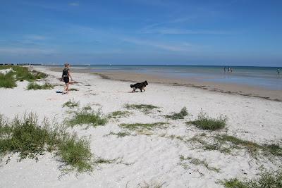 Sandee - Public Beach By Novolund In Øster Hurup