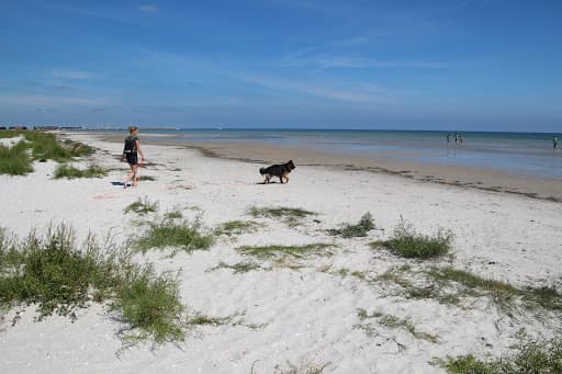 Sandee Public Beach By Novolund In Øster Hurup Photo